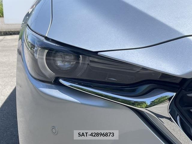 Mazda CX-8 2019-04 266190-9