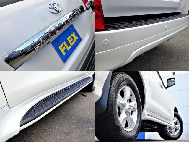 Toyota LAND CRUISER 2007-01 546-19