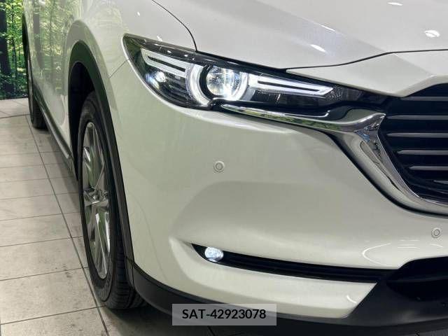 Mazda CX-8 2018-06 373275-12