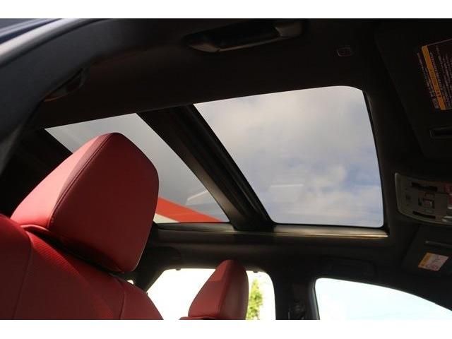 Lexus RX 2016-01 9843-17