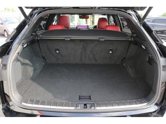 Lexus RX 2016-01 9843-12