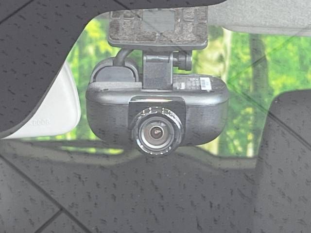 Suzuki SOLIO BANDIT 2019-03 185547-7