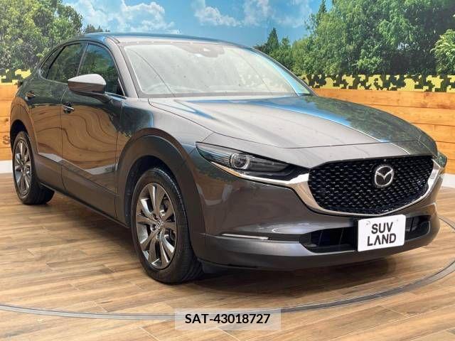 Mazda CX-30 2020-03 339747-16