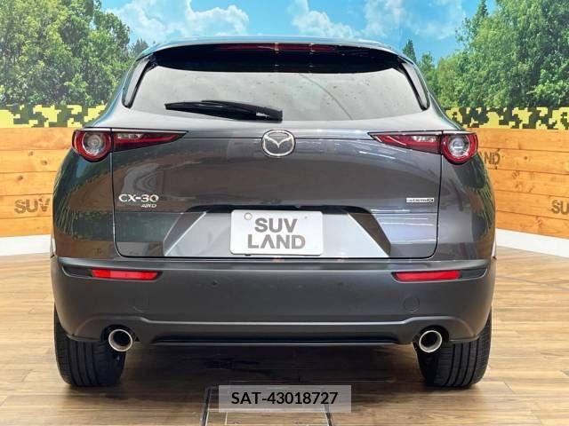Mazda CX-30 2020-03 339747-15