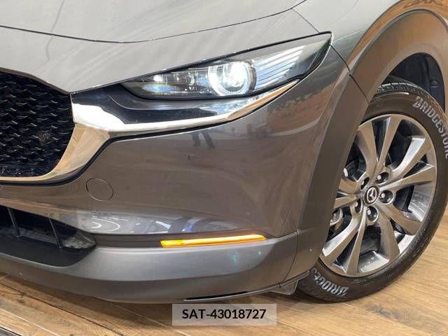 Mazda CX-30 2020-03 339747-12