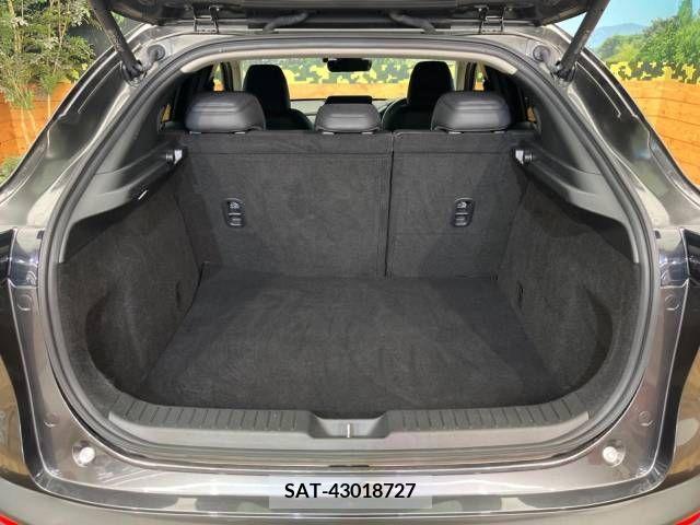 Mazda CX-30 2020-03 339747-10