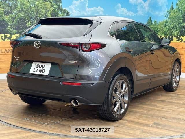 Mazda CX-30 2020-03 339747-17