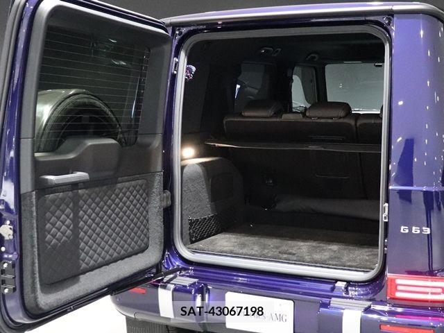 Amg G-CLASS 2021-08 389241-15