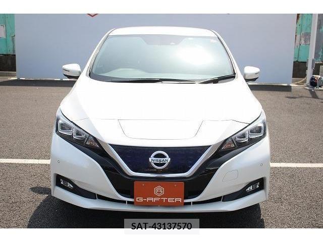 Nissan LEAF 2019-03 239948-7