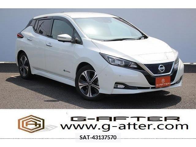 Nissan LEAF 2019-03 239948-0