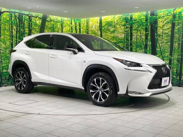 Lexus NX 2014-11 14486-16