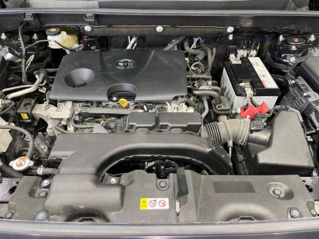 Toyota RAV4 2020-09 196080-18