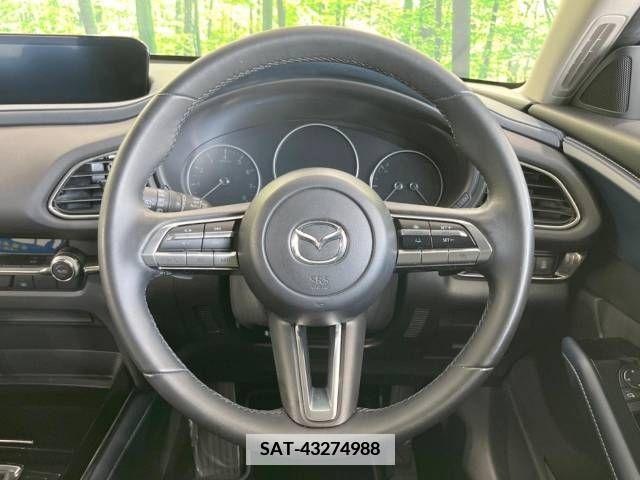 Mazda CX-30 2021-05 380336-11