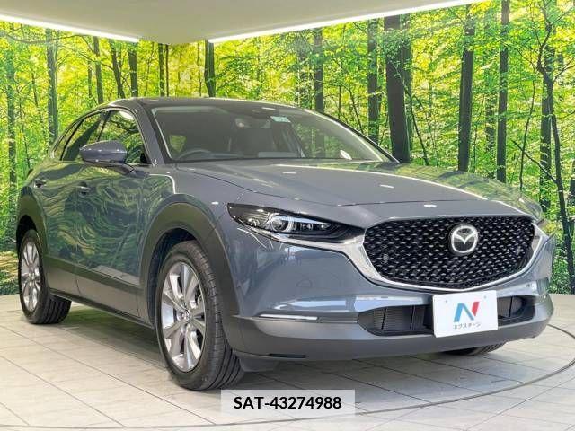 Mazda CX-30 2021-05 380336-16