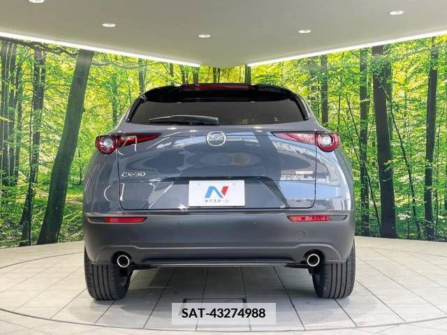 Mazda CX-30 2021-05 380336-15