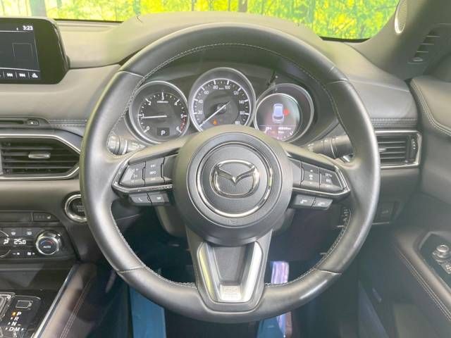 Mazda CX-8 2018-07 15569-12