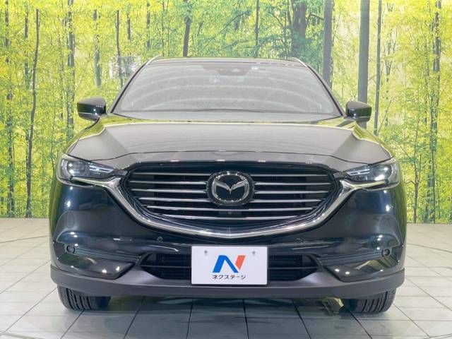 Mazda CX-8 2018-07 15569-15