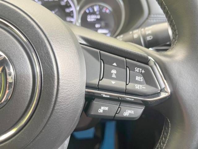 Mazda CX-8 2018-07 15569-5