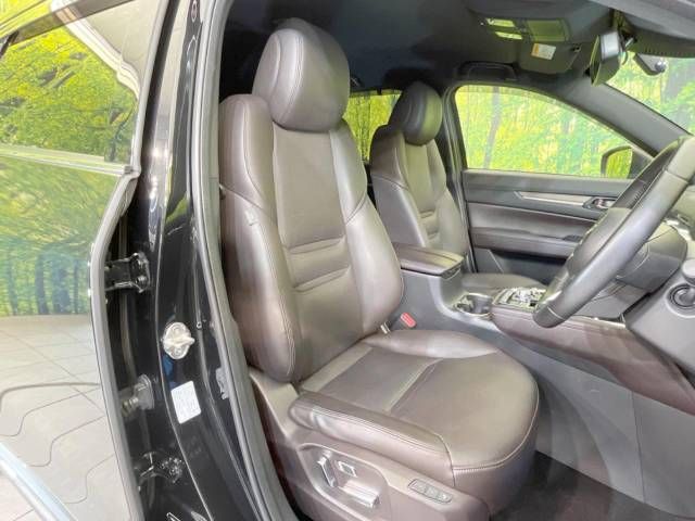Mazda CX-8 2018-07 15569-8