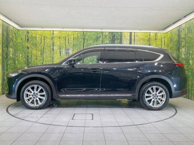 Mazda CX-8 2018-07 15569-18