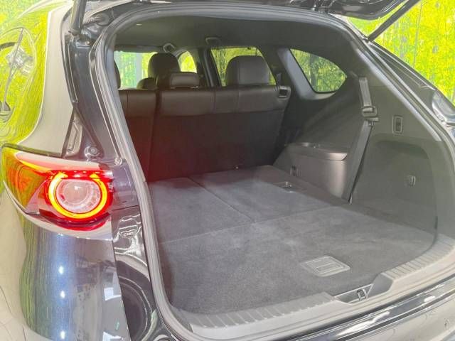 Mazda CX-8 2018-07 15569-11