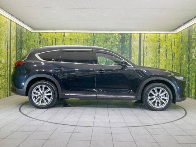 Mazda CX-8 2018-07 15569-17
