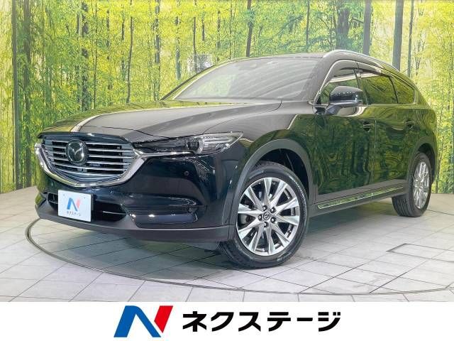 Mazda CX-8 2018-07 15569-0