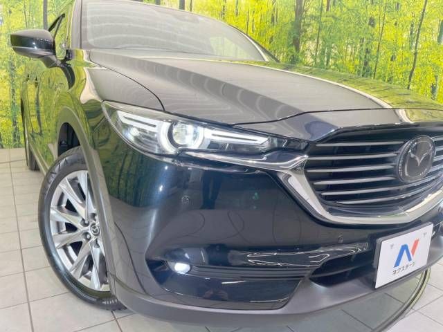 Mazda CX-8 2018-07 15569-13