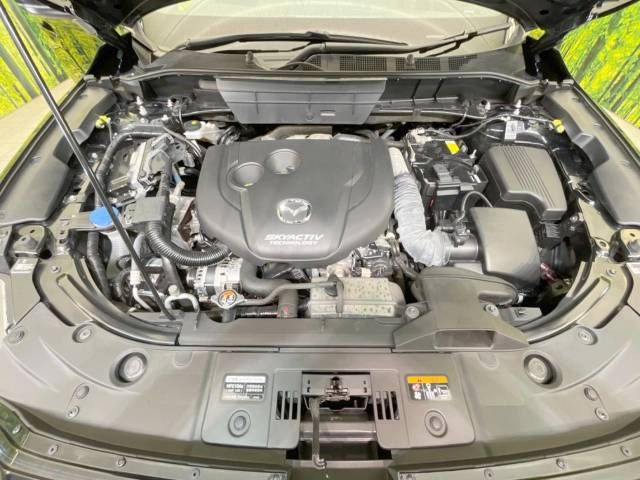 Mazda CX-8 2018-07 15569-19