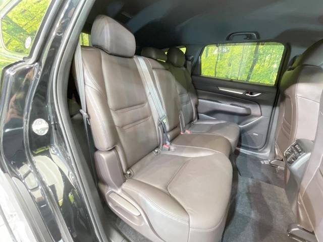 Mazda CX-8 2018-07 15569-9