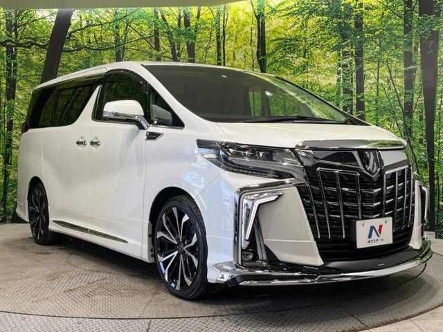 Toyota ALPHARD 2021-07 180451-17