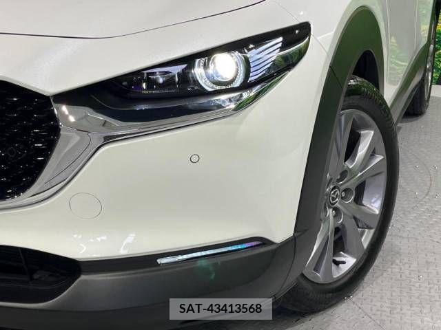 Mazda CX-30 2021-11 265620-12