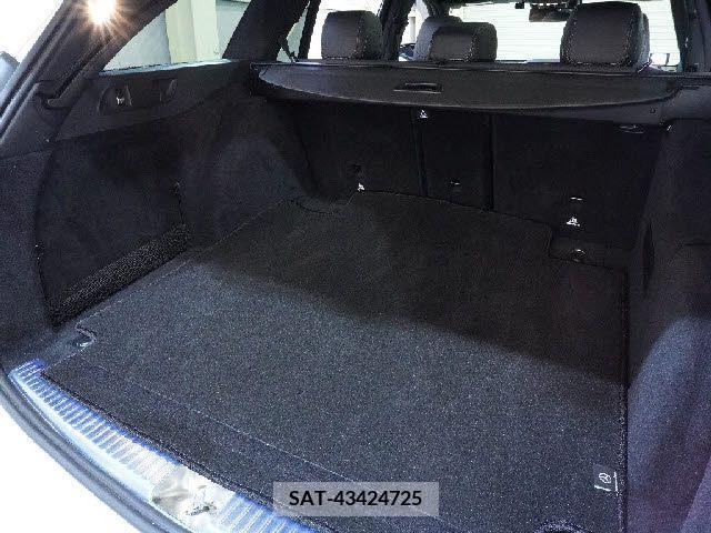 Amg E-CLASS 2018-09 373448-6