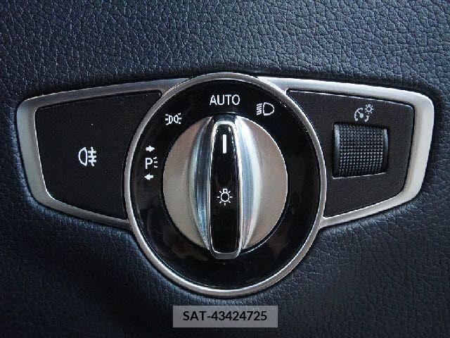 Amg E-CLASS 2018-09 373448-18