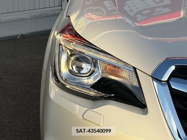 Subaru FORESTER 2016-07 390953-22
