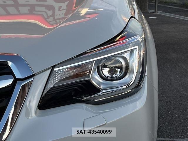 Subaru FORESTER 2016-07 390953-20