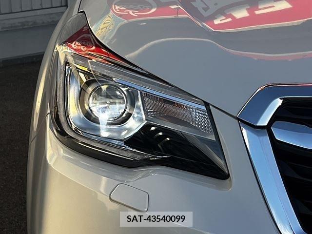 Subaru FORESTER 2016-07 390953-10