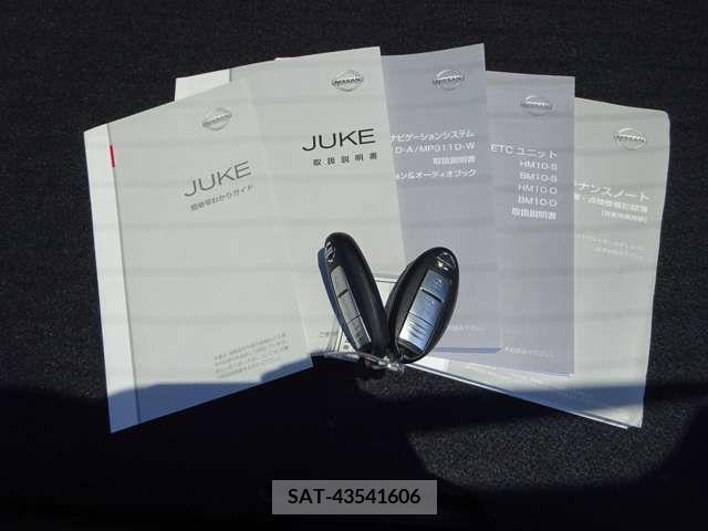Nissan JUKE 2011-09 320471-19