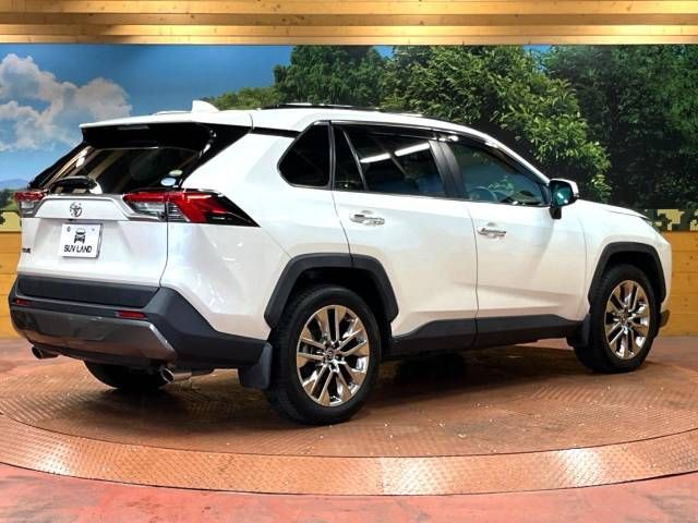 Toyota RAV4 2019-05 27256-18
