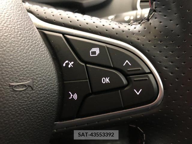 Renault MEGANE 2021-06 220089-16