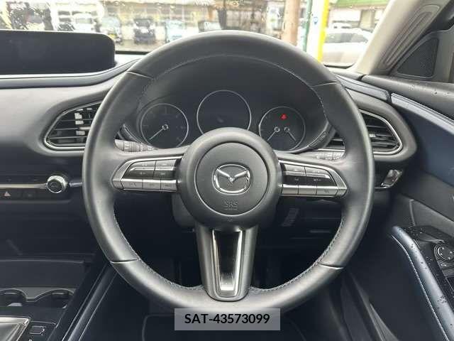 Mazda CX-30 2023-03 265601-6