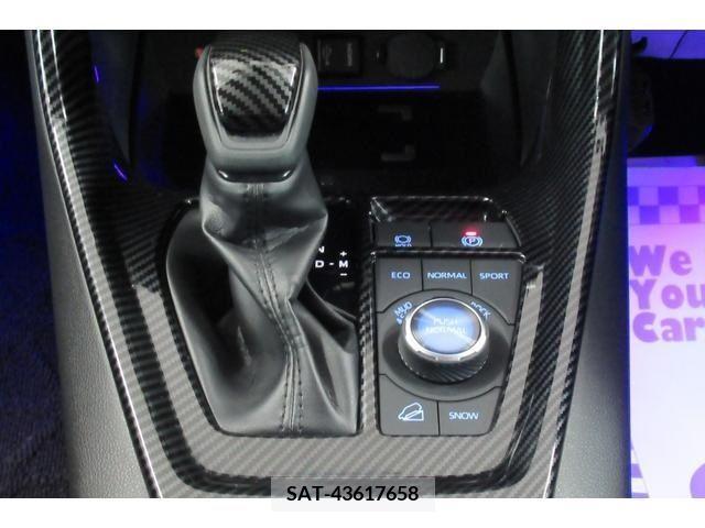 Toyota RAV4 2019-07 313103-15