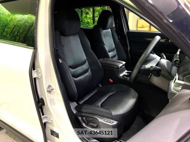 Mazda CX-8 2019-09 308583-12