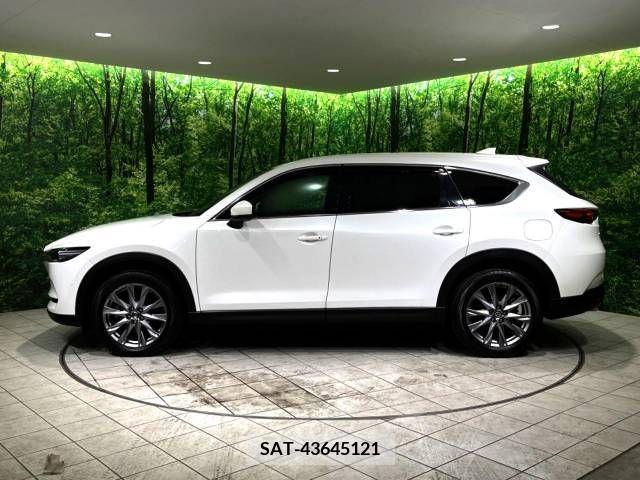 Mazda CX-8 2019-09 308583-18
