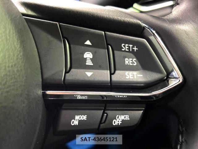 Mazda CX-8 2019-09 308583-4
