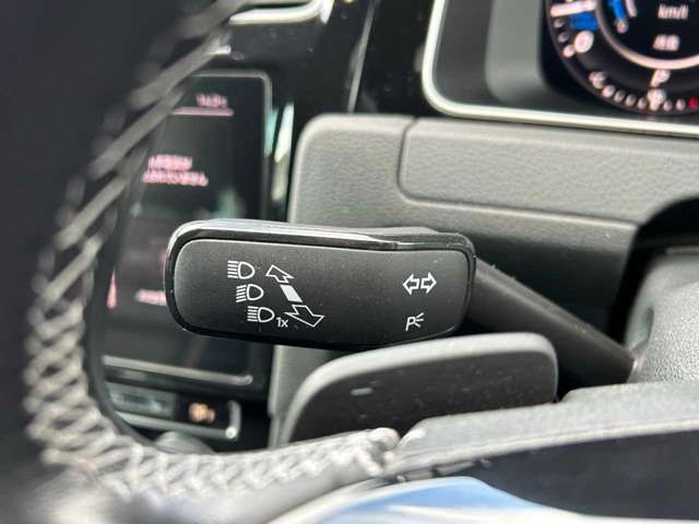 VolksWagen GOLF R 2019-06 194392-13