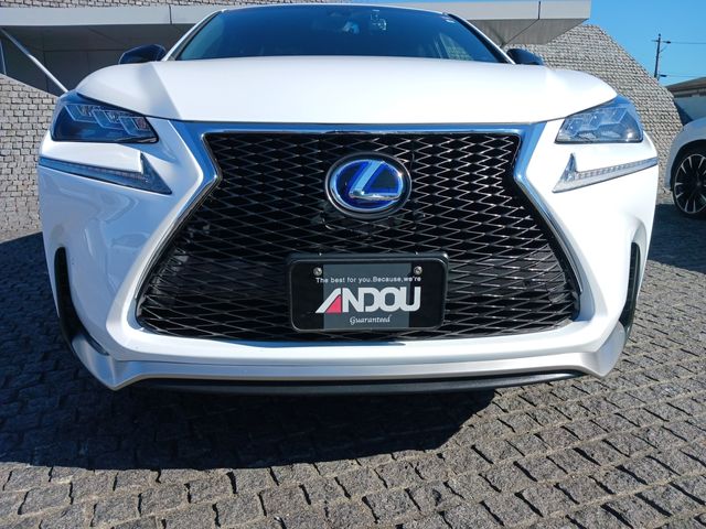 Lexus NX 2017-02 25439-5