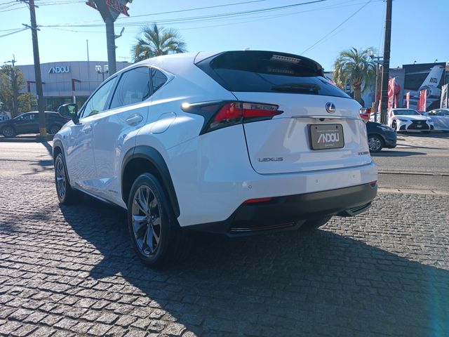 Lexus NX 2017-02 25439-2