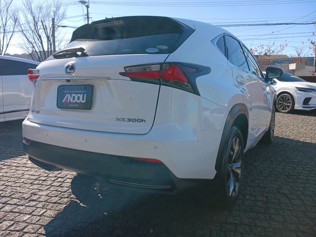 Lexus NX 2017-02 25439-6