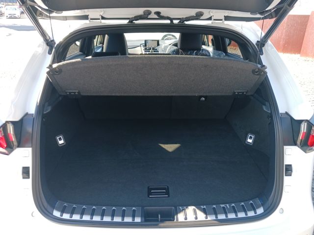 Lexus NX 2017-02 25439-24